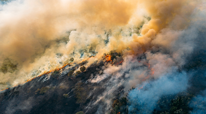 A wildfire raging through a forest, with smoke billowing.